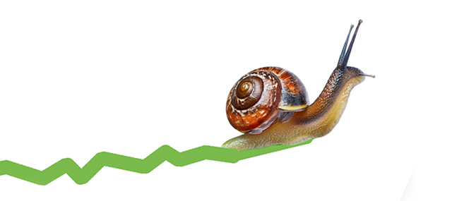 snail-graph-slow